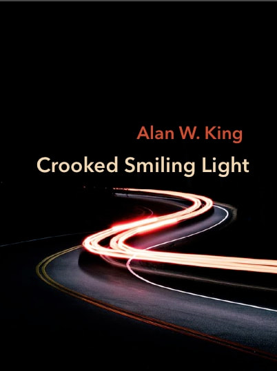 Crooked Smiling Light by Alan W. King
