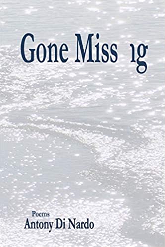 Gone Missng Paperback – August 13, 2020 by Antony Di Nardo (Author)