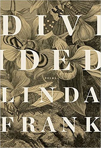 Divided Paperback by Linda Frank