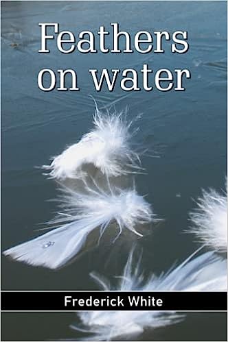Feathers on water 